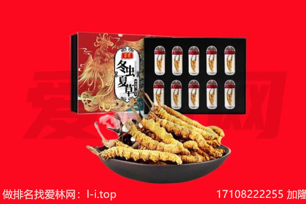许昌市禹州回收虫草.jpg